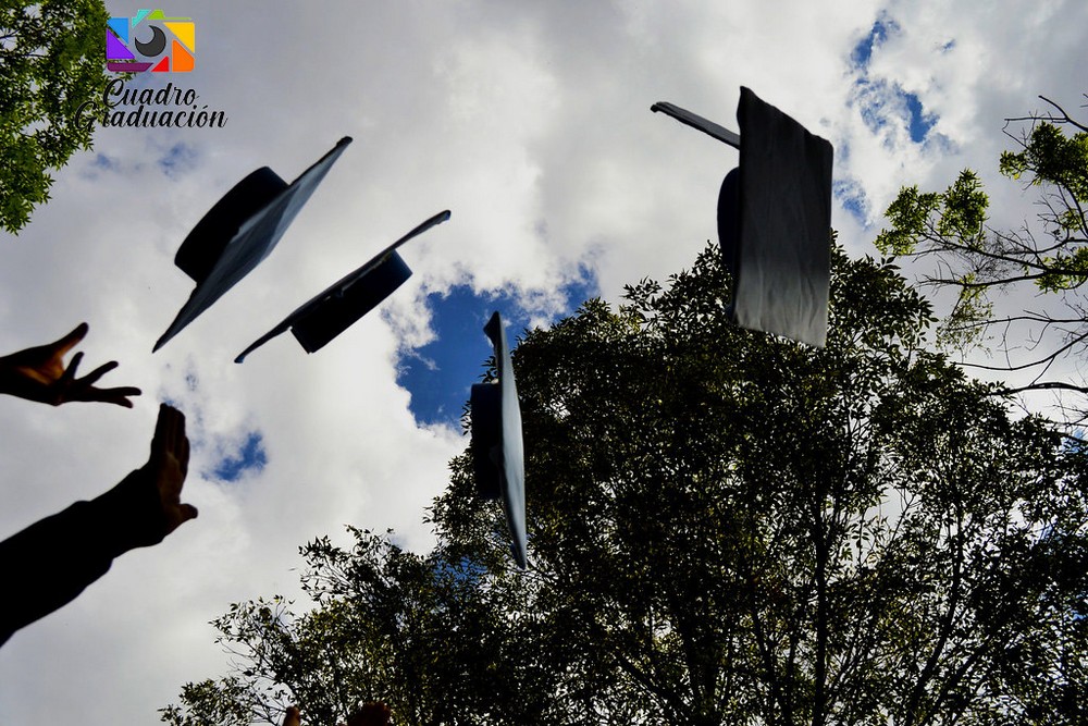 todo sobre licenciaturas