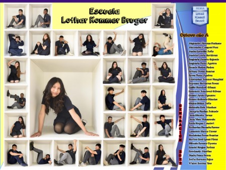 Cuadro cubo licenciatura