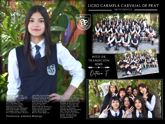 Cuadro para Licenciaturas