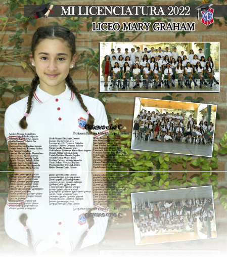 Cuadro para licenciatura cuarto medio