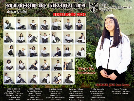 Cuadro cubo pandemia