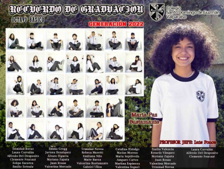 Diseño licenciatura octavo básico