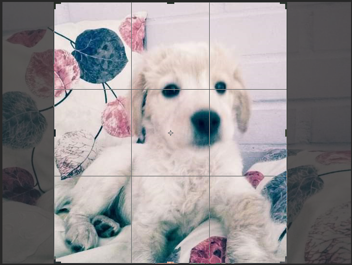 ajuste de fotografia